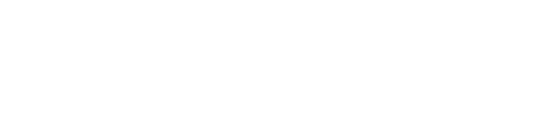 BISSI